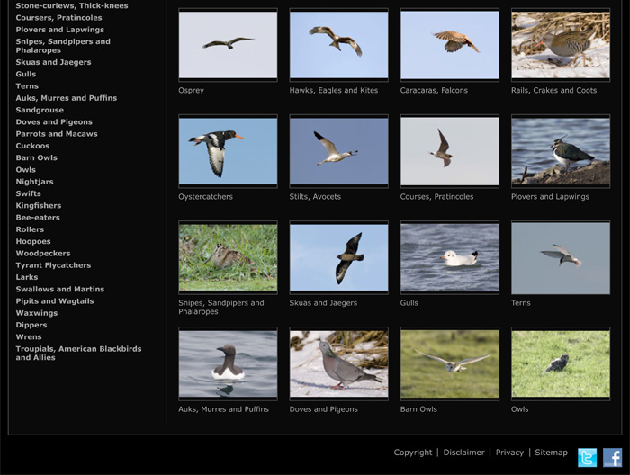 Richard Stonier Photography website