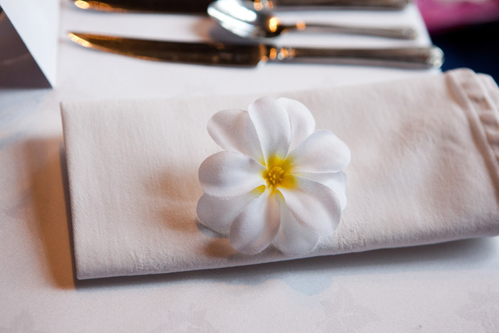Frangipani close up